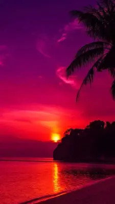 Sunset Wallpaper android App screenshot 0